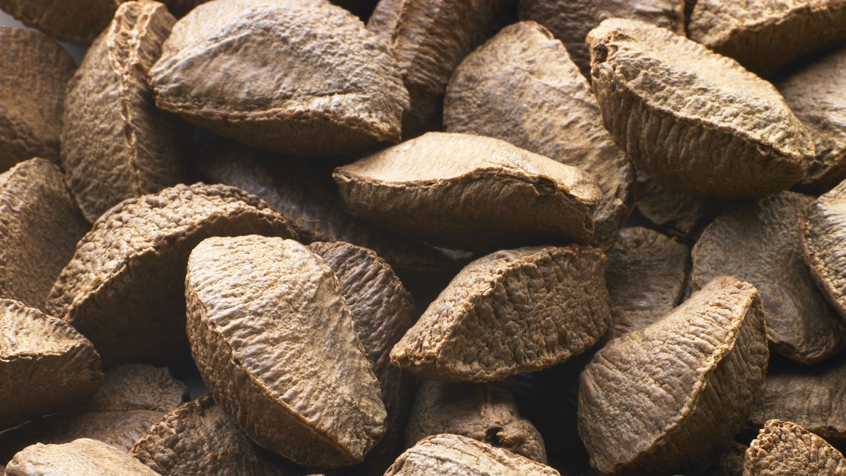 Clariant_Image_Brazil-nut-seeds-v3_2021_EN