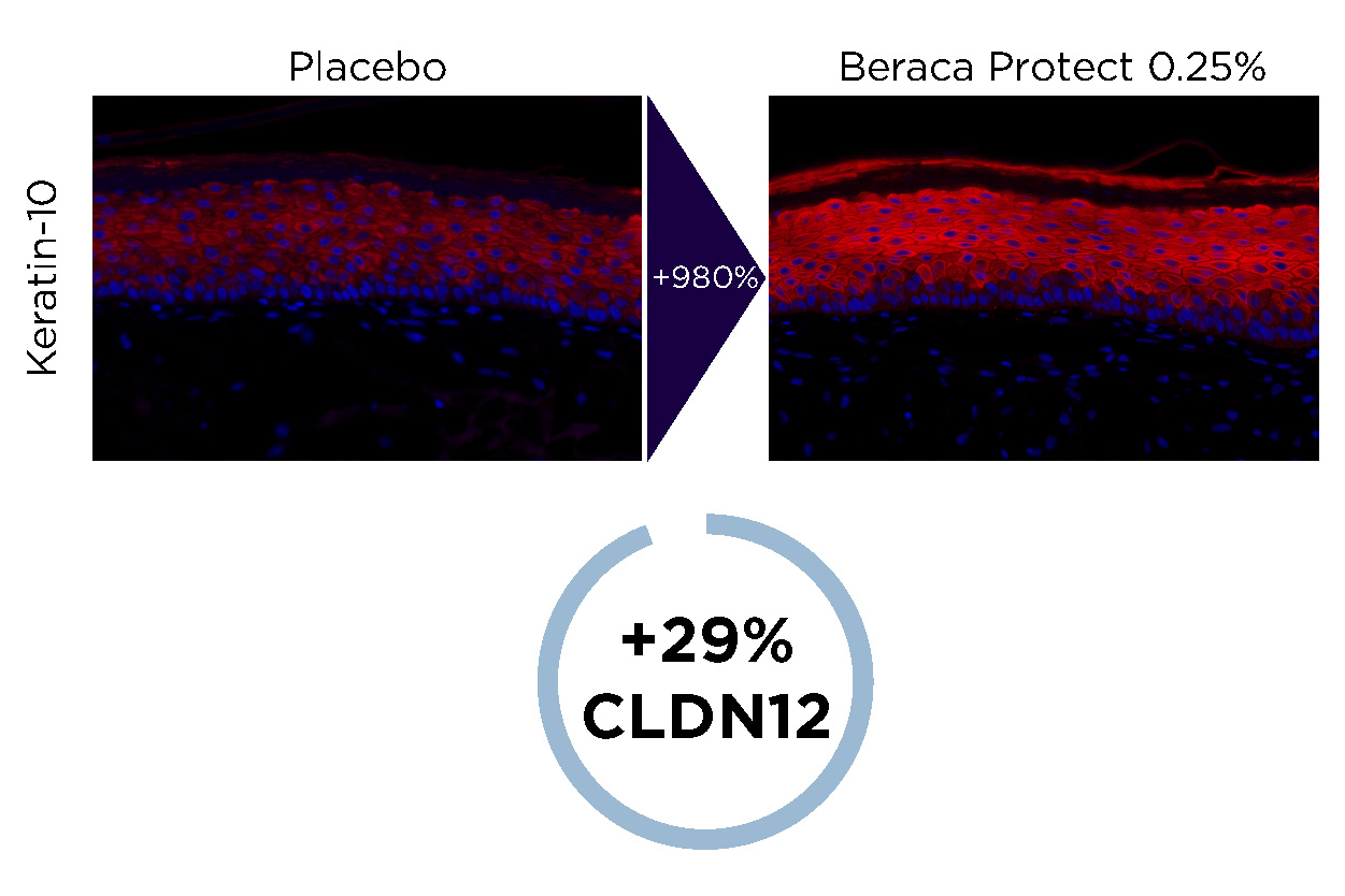 Clariant_Image_cohesion-v2_2024_EN-01