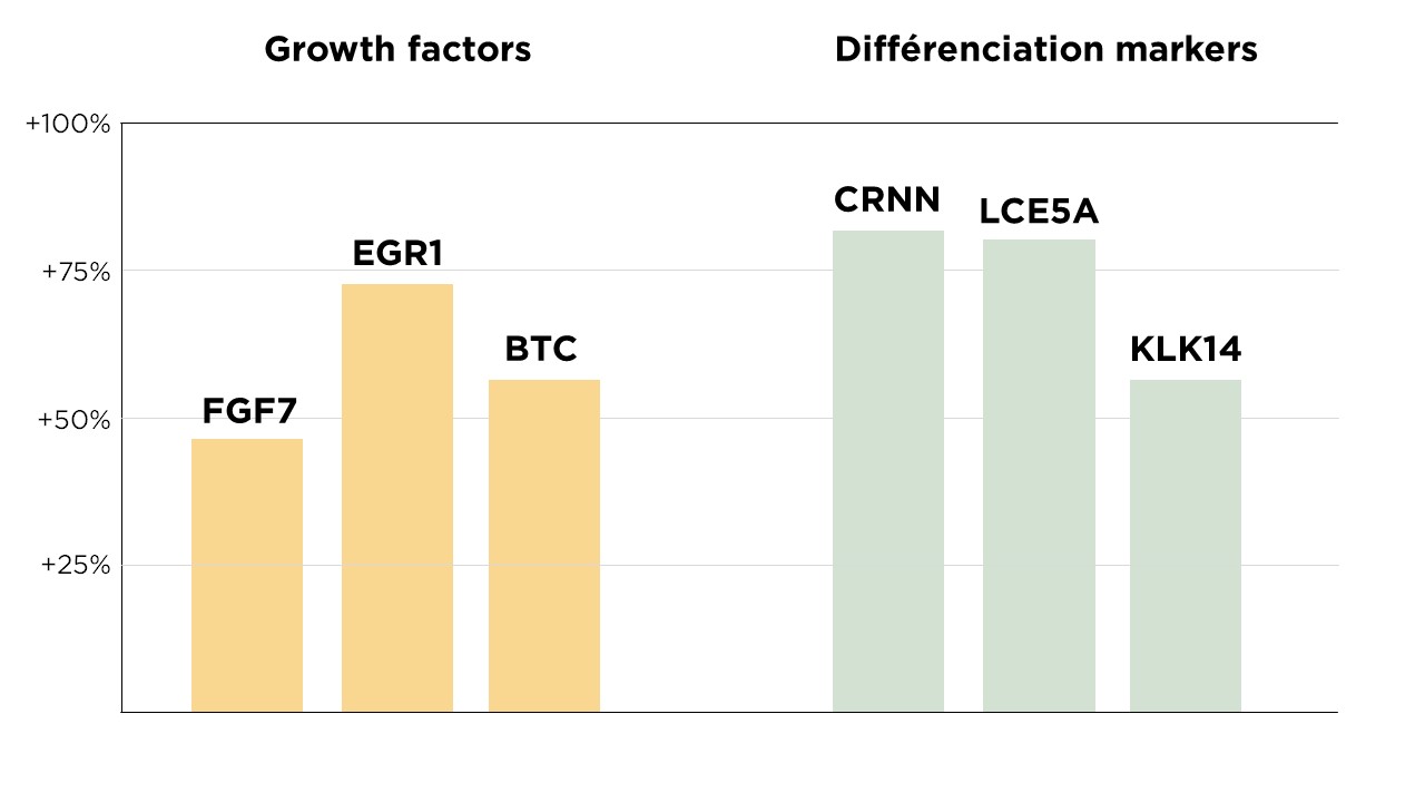 Stimulation of keratinocytes differentiation and terminal differentiation