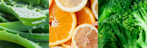 The image shows three different types of plants or plant products:

1. On the left, there is a close-up of aloe vera leaves with gel oozing out.
2. In the middle, there are slices of citrus fruits, including oranges and lemons.
3. On the right, there is a close-up of broccoli florets.

These are all natural plant-based items commonly used for health, nutrition, and culinary purposes.