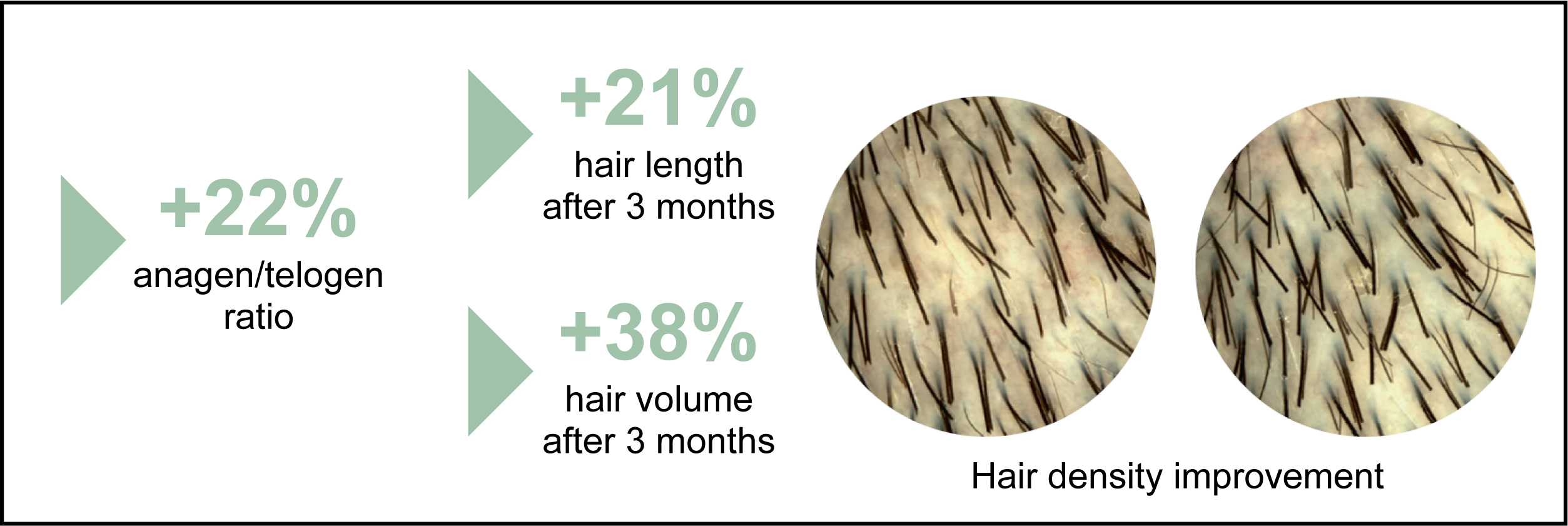 Prunizen main clinical results