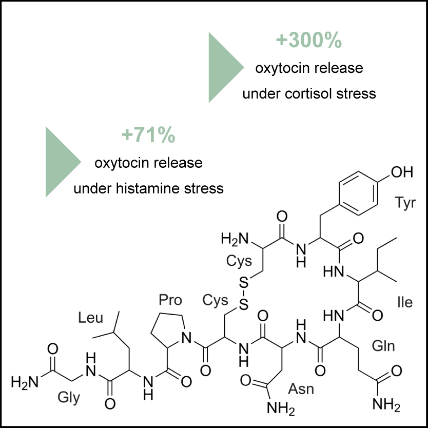 Clariant_Image_Oxytocin-stimulation-v2_2022_EN-01