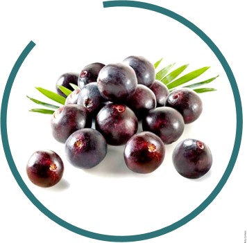 Clariant_Image_Acai-superfood-v2_2022_EN