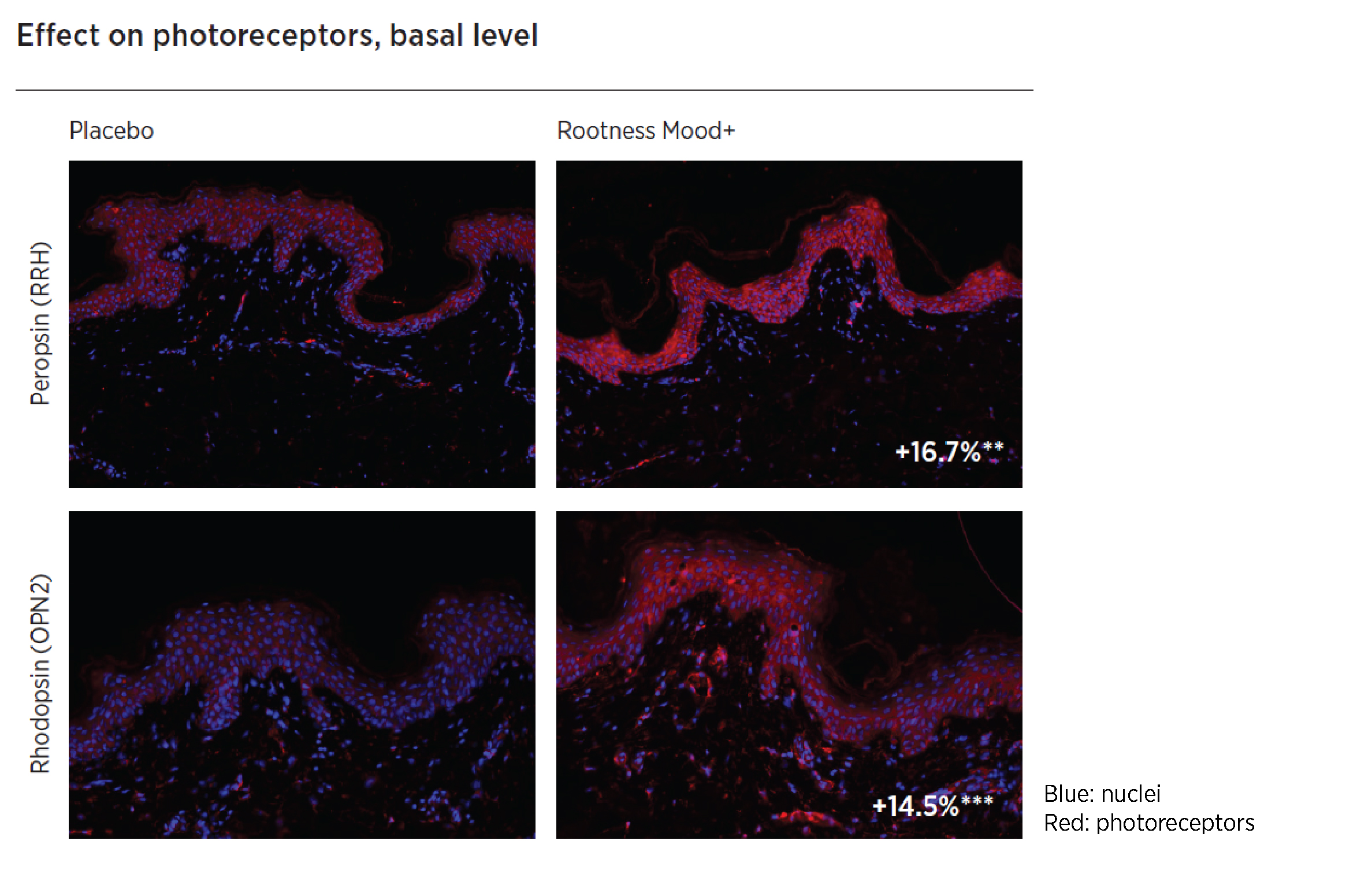 Clariant_Image_Photoreceptors-activation_2023-01