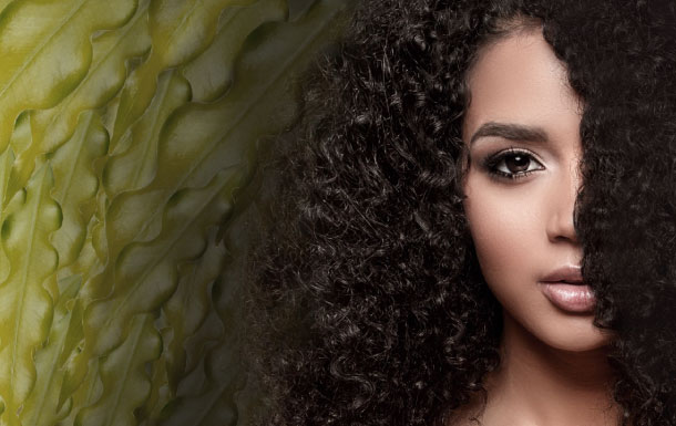 Close-up of curly black hair against a textured green background.