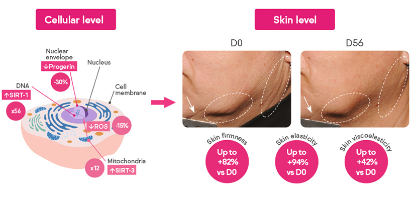 Mediarelease-lmc-amplify-cellular-ProgelineFF_tests2-822