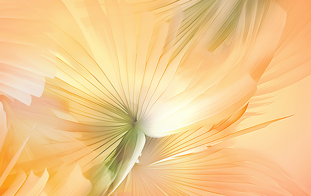 The image shows an abstract design with soft, flowing lines and shapes in shades of peach, cream, and light green. The pattern resembles delicate, translucent petals or feathers radiating from a central point, creating a sense of movement and lightness. The overall effect is soothing and elegant, with a warm color palette.