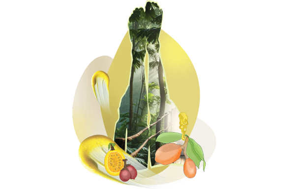 This image appears to be a creative collage or digital artwork. It features a pair of legs with a forest scene inside them, suggesting a connection between nature and the human body. Surrounding the legs are various fruits and leaves, adding to the natural theme. The overall composition blends elements of nature with human anatomy in an artistic and imaginative way. If you have any specific questions or need further analysis, feel free to ask!