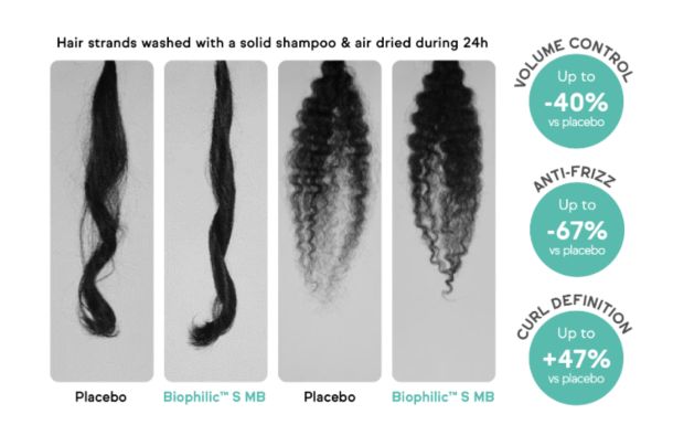 The image shows a comparison of hair strands washed with a placebo shampoo versus a shampoo containing Biophilic™ S MB. The hair strands were air-dried over 24 hours. The comparison highlights three key benefits of using Biophilic™ S MB:

1. **Volume Control**: Hair washed with Biophilic™ S MB shows up to 40% better volume control compared to the placebo.
2. **Anti-Frizz**: There is up to a 67% reduction in frizz with Biophilic™ S MB compared to the placebo.
3. **Curl Definition**: Hair washed with Biophilic™ S MB has up to 47% better curl definition compared to the placebo.

The image visually demonstrates these benefits, with the Biophilic™ S MB-treated hair appearing smoother, less frizzy, and with more defined curls compared to the placebo-treated hair.