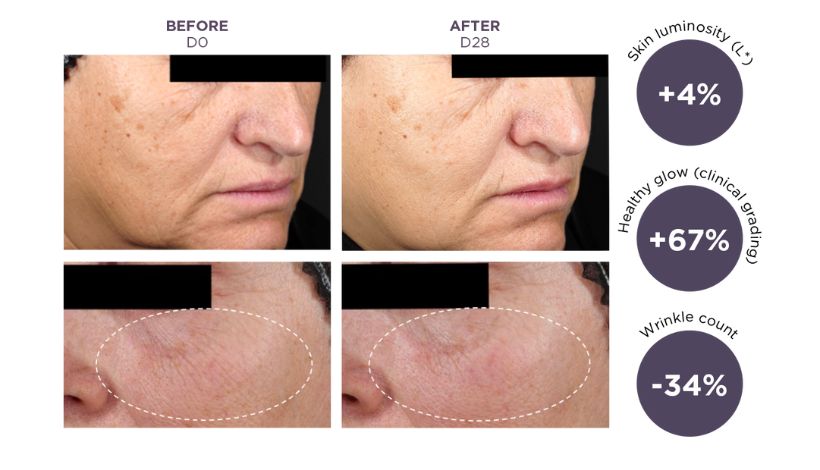 The images show a comparison of skin condition before and after a treatment or product use. The results indicate improvements in skin luminosity by +4%, a significant increase in healthy glow by +67%, and a reduction in wrinkle count by -34%. The close-up images highlight a visible decrease in wrinkles within the circled area on the cheek. Overall, the skin appears smoother and more radiant after the treatment.