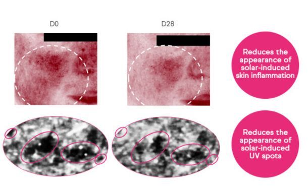 The image appears to be a comparison of skin conditions over a period of 28 days, likely showing the effects of a skincare product or treatment. The top row shows images labeled "D0" and "D28," indicating the condition of the skin at the start and after 28 days. The images are marked with a dashed circle, possibly highlighting areas of interest or improvement. The text next to these images states "Reduces the appearance of solar-induced skin inflammation," suggesting that the treatment has reduced inflammation caused by sun exposure.

The bottom row also shows images labeled "D0" and "D28," with areas circled in pink. The accompanying text reads "Reduces the appearance of solar-induced UV spots," indicating that the treatment has helped diminish UV spots caused by sun exposure. Overall, the image suggests that the treatment or product being referenced is effective in reducing both inflammation and UV spots caused by solar exposure over a 28-day period.