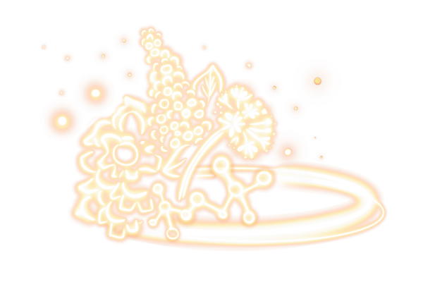 The image shows a glowing, stylized floral design with various flowers and leaves. The flowers are clustered together, and the entire design emits a warm, orange-yellow light with a soft glow effect. Surrounding the flowers are multiple glowing orbs of different sizes, adding to the luminous and ethereal appearance of the design. The overall look is decorative and artistic, resembling a neon or light-based artwork.