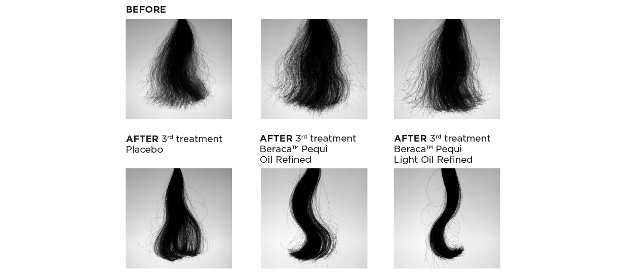The image shows a **before-and-after comparison of hair strands** after the **3rd treatment**.

### What’s shown:
- **Top row:** “BEFORE” hair samples
- **Bottom row:** “AFTER 3rd treatment” samples for:
  1. **Placebo**
  2. **Beraca™ Pequi Oil Refined**
  3. **Beraca™ Pequi Light Oil Refined**

### Visual takeaway:
- The **placebo** sample looks improved somewhat, but still relatively frizzy and less defined.
- Both **Beraca™ Pequi Oil** samples appear to make the hair look:
  - **smoother**
  - **more aligned**
  - **less frizzy**
  - **more defined/curved**

### Overall:
The two **Beraca™ Pequi Oil** treatments seem to show a stronger visible conditioning effect than the placebo.