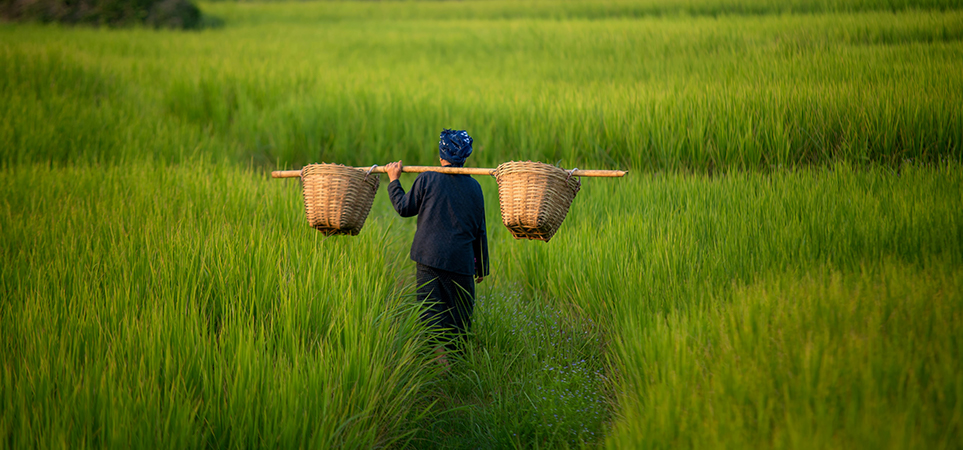 Can biomass waste improve manufacturing efficiencies and circularity?