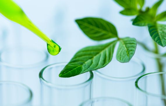 8cd3c124-c5d3-4c4e-aa5a-bf6120d61a74