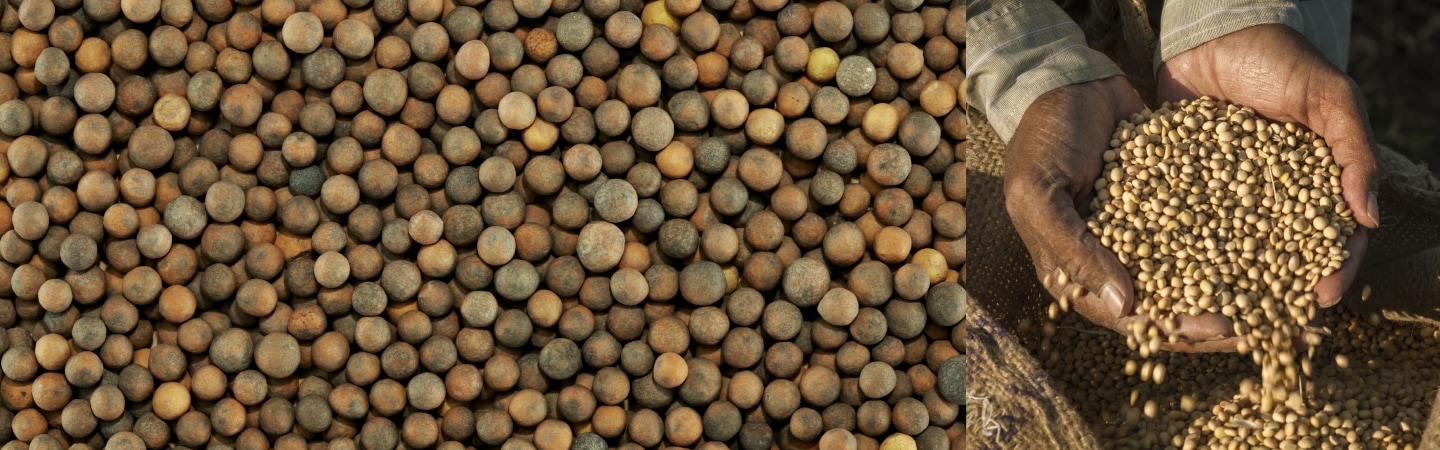 Clariant Banner Ragular Human Rights