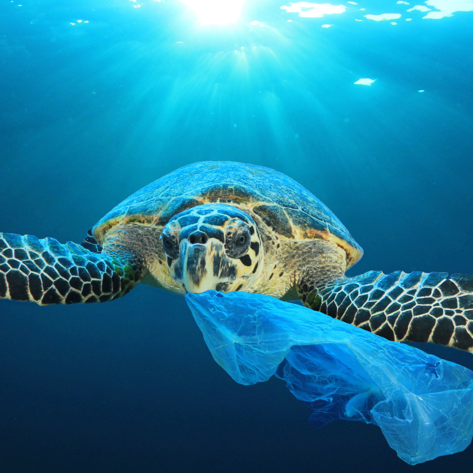 Clariant Image Mobile Zero waste and pollution 20240830