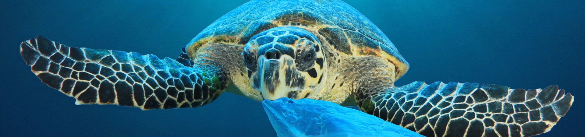 Clariant Image Zero waste and pollution 20240828