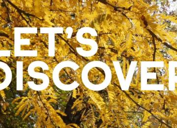 TEASER: Inst’Tight™ - Eco-designed flash skin perfector