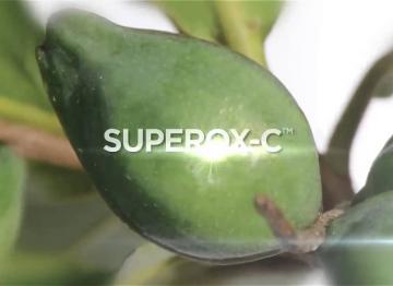 Superox-C™: Illuminate your skin! Launched at in-Cosmetics 2014 in Hamburg