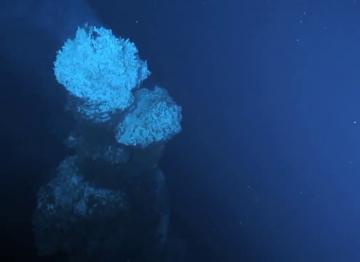 The Tranquility video