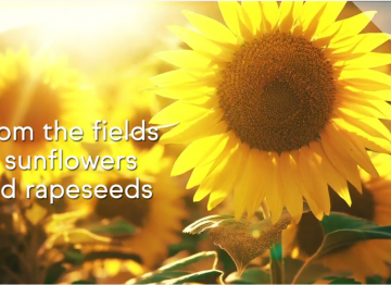 Heliosoft™ - The mild and soft lamellar emulsifier