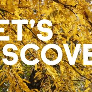 TEASER: Inst’Tight™ - Eco-designed flash skin perfector