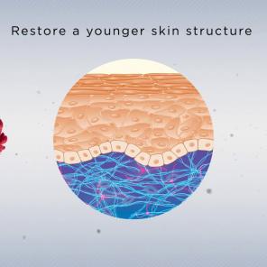 SKINectura™ - Flower nectar for younger skin structure