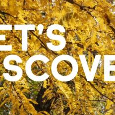 TEASER: Inst’Tight™ - Eco-designed flash skin perfector