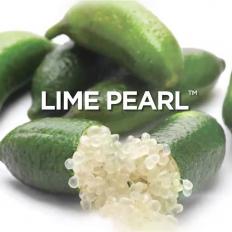 Lime Pearl™: New source of AHAs- Launched at in-Cosmetics 2014 in Hamburg