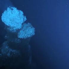 The Tranquility video