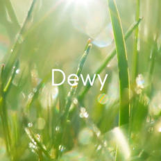 Insperal™ - SkinPeace Dewy Lotion