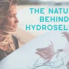 Behind the scenes - Chapter 1: Wild Rosella
